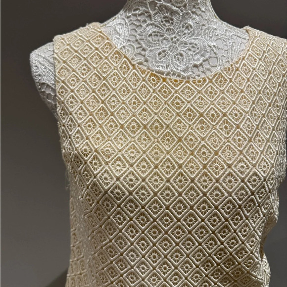 Chic Beige Sleeveless Lace Top - Picture 3 of 4